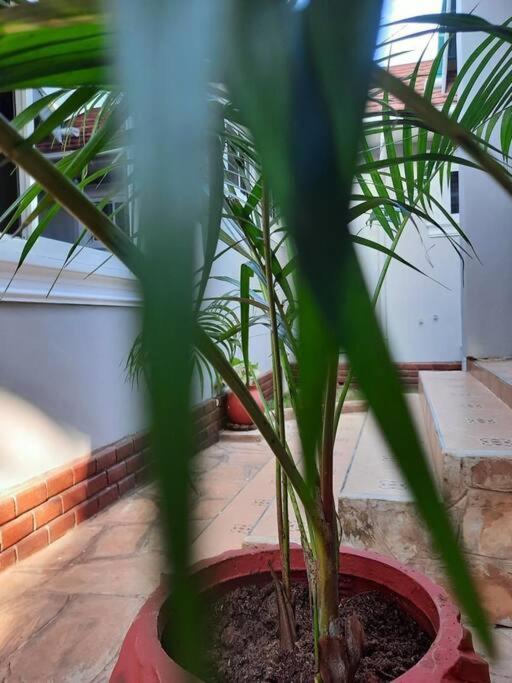 Ellyz Home Stay Моши Екстериор снимка